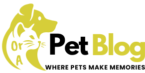 Pet Or A Blog